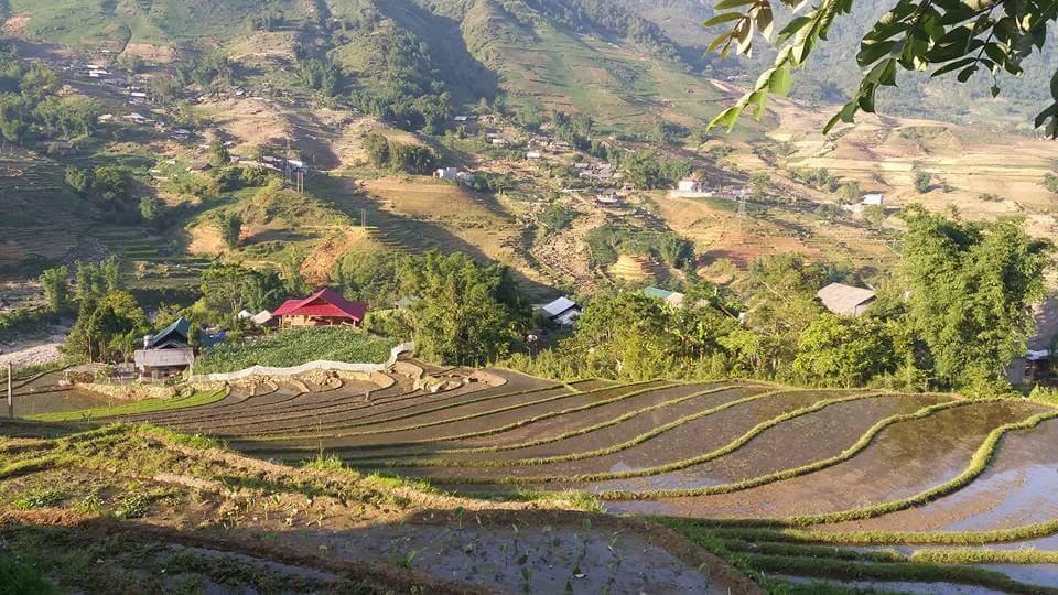 Ta Van Green Hills Homestay Sapa Exterior foto