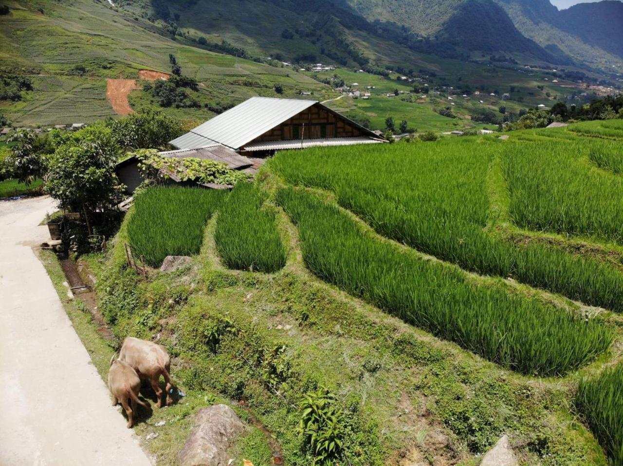 Ta Van Green Hills Homestay Sapa Exterior foto